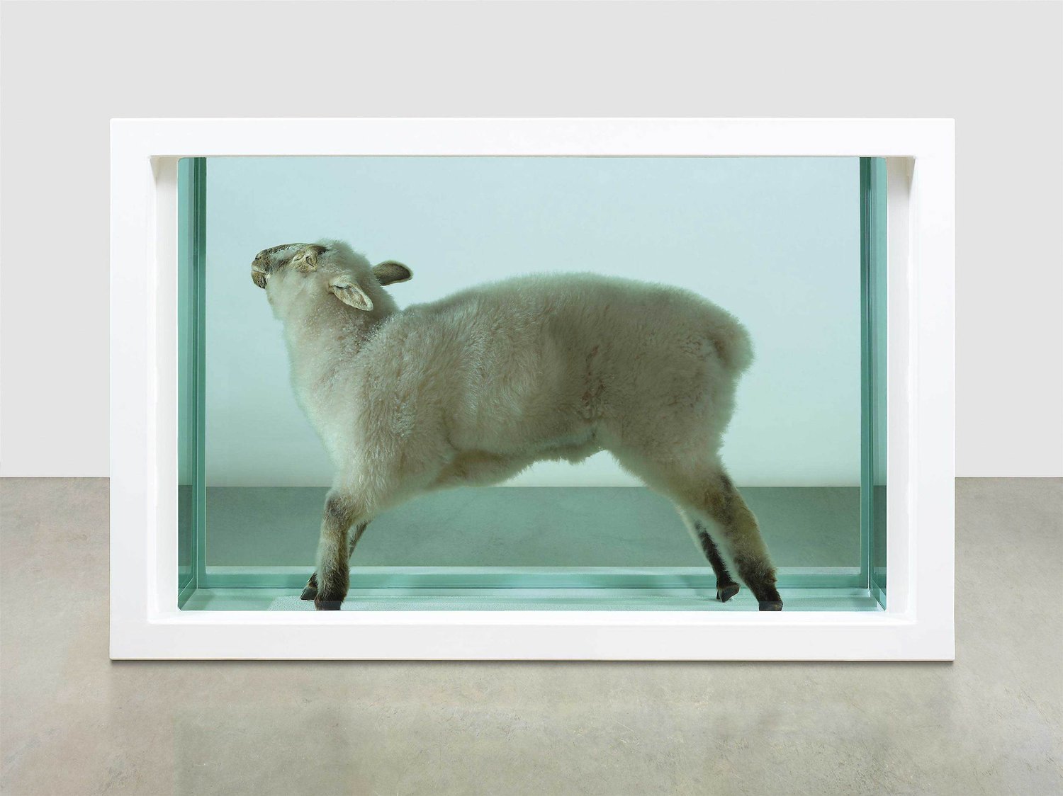 Away-from-the-flock