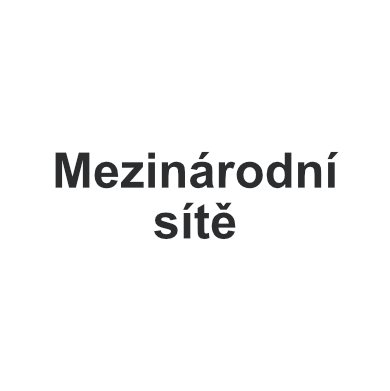mezinarodnisite
