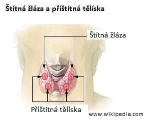 stitna zlaza a pristitna teliska