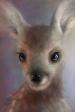 12400966 1968552090036949 5227947742100030775 n (1)