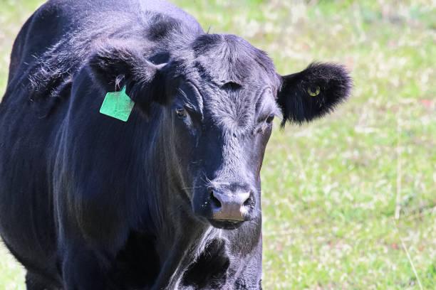 istockphoto-1086671388-612x612