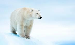 756ccf75-f5af-4556-933c-533d58eda11d