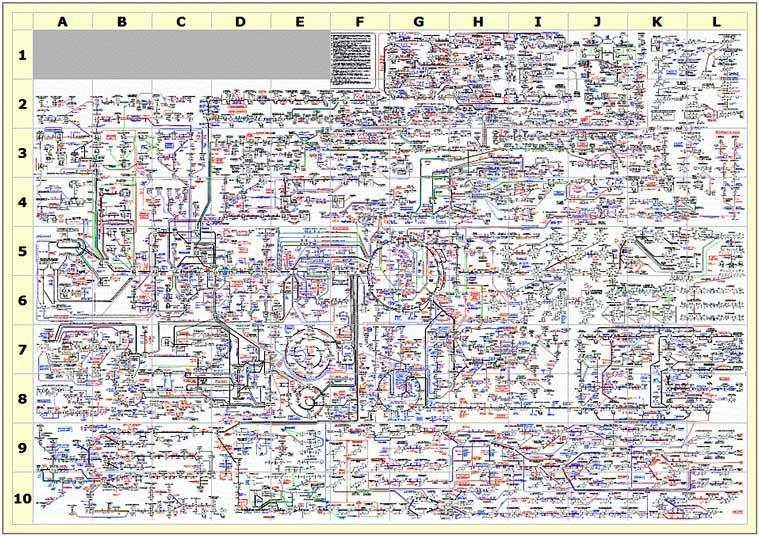 schéma metabolismu člověka