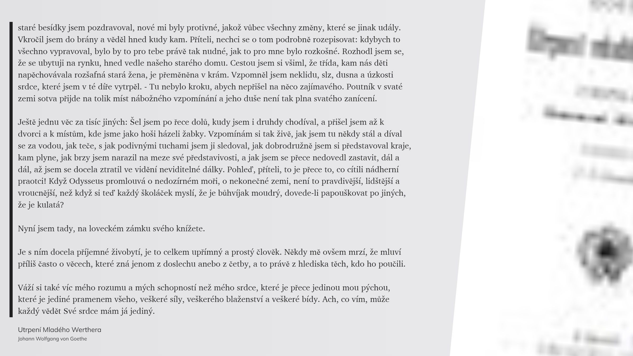 Utrpení Mladého Werthera (39)