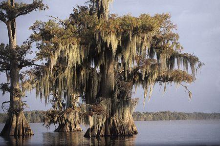 b78fc2fb77cb460d2ce1eef0a2999329