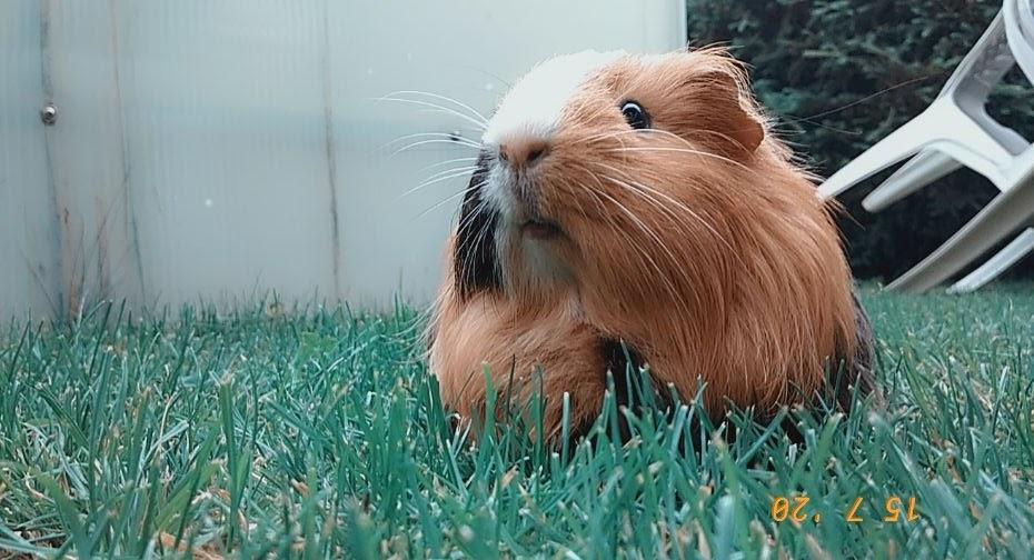 Snapchat-1999490751-2