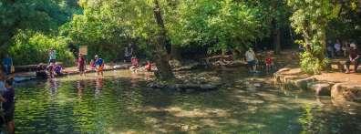 DSC 7669-e1512579053252