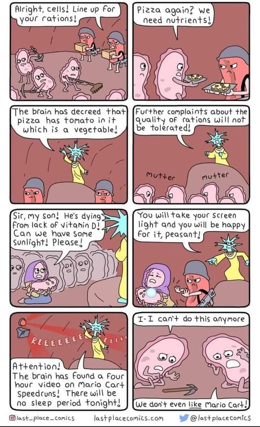 297670518 5577725228933746 4659855921104268862 n