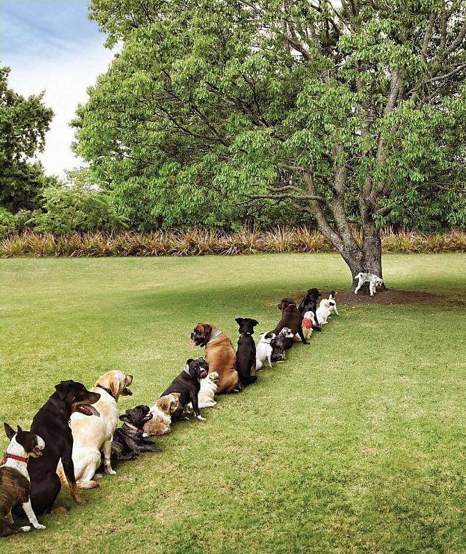 R44c99f37912ce037d17253e645d5de0b