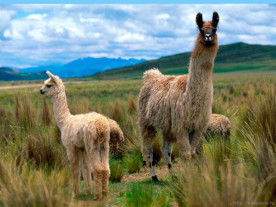 32fe87ca14725ad6e164a57057699bd8-1024x768