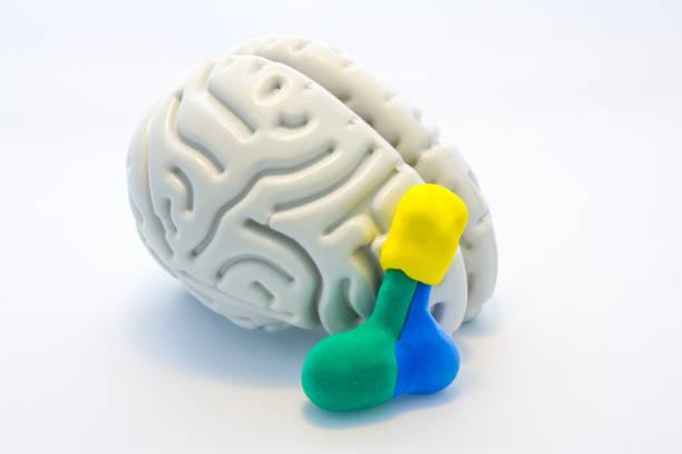 istockphoto-1172213449-612x612