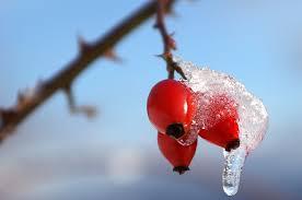 7b3cef3f-10c5-43b4-bc77-f954449f5b58