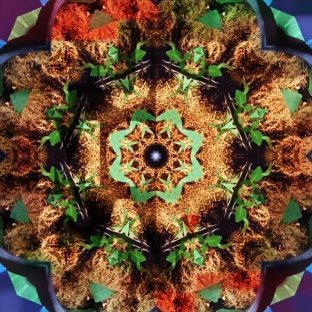 312900150 839598950805517 645416175310579675 n