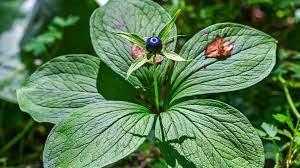 7c9e5763-7562-4496-810d-42cae615403f