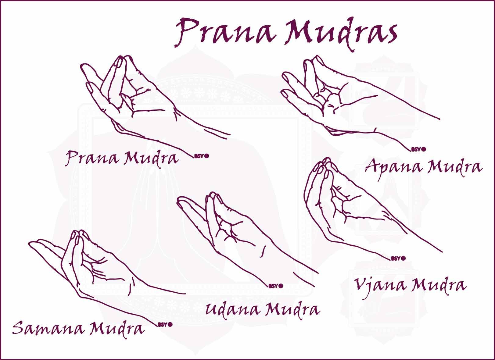 Visas-mudras-imagevisas-mudras