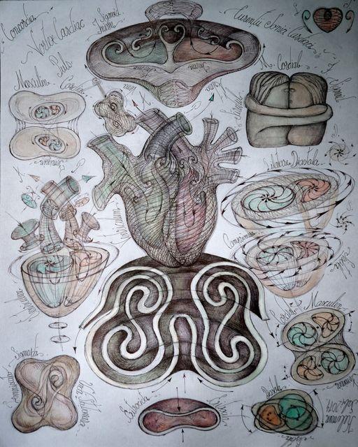 201591963 1876973085801341 3043909989252345779 n