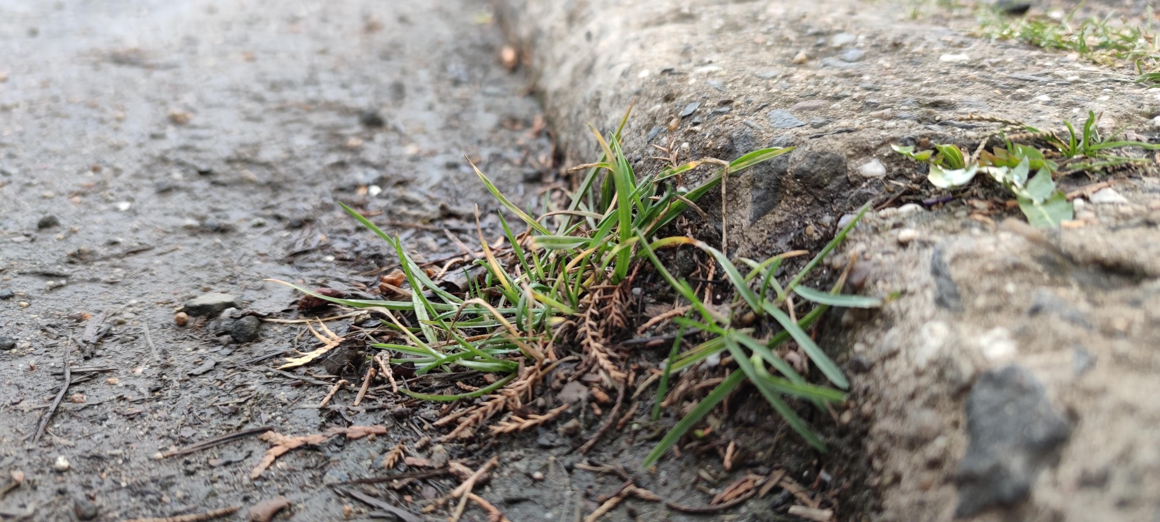 16178108635246119243009101513394