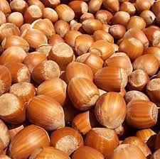 419eb80d-10a4-4333-aece-739ceddeabae