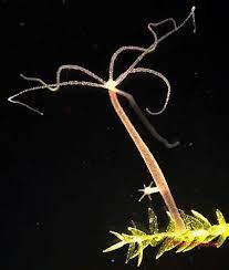 43607fcb-8c2d-455a-abac-6a57dc8b5989