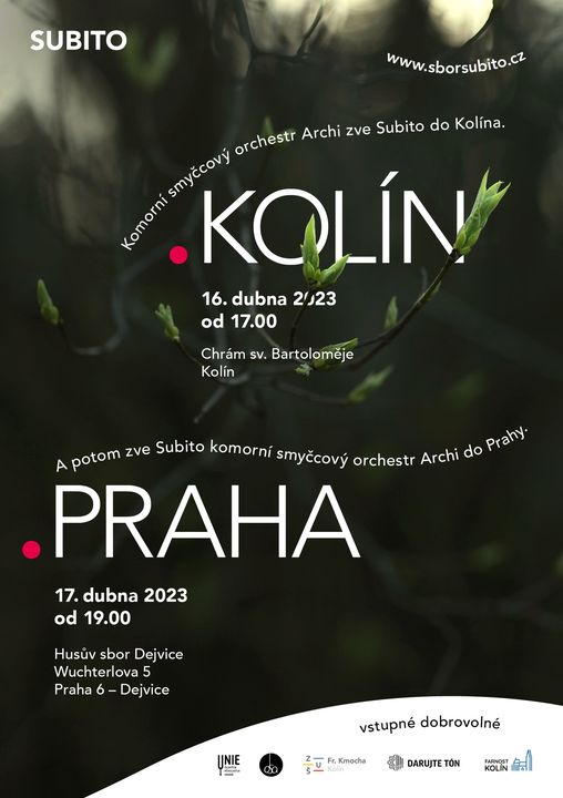 337097497 155768187374500 3770981639429718791 n