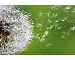 44599583-49e4-4649-8326-94e6b9a265ca