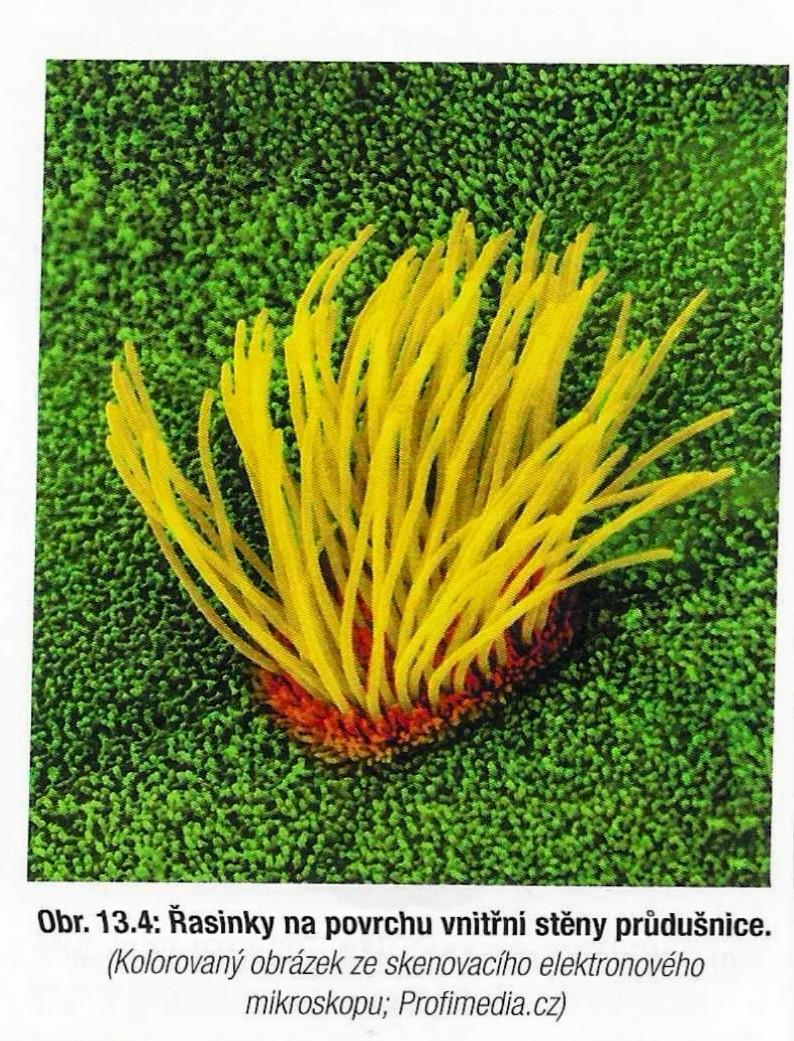 2022-11-09 100365 (1) 3 (1)