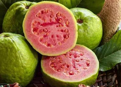 45ab6f22-2e64-4065-83a8-7795005d16b9