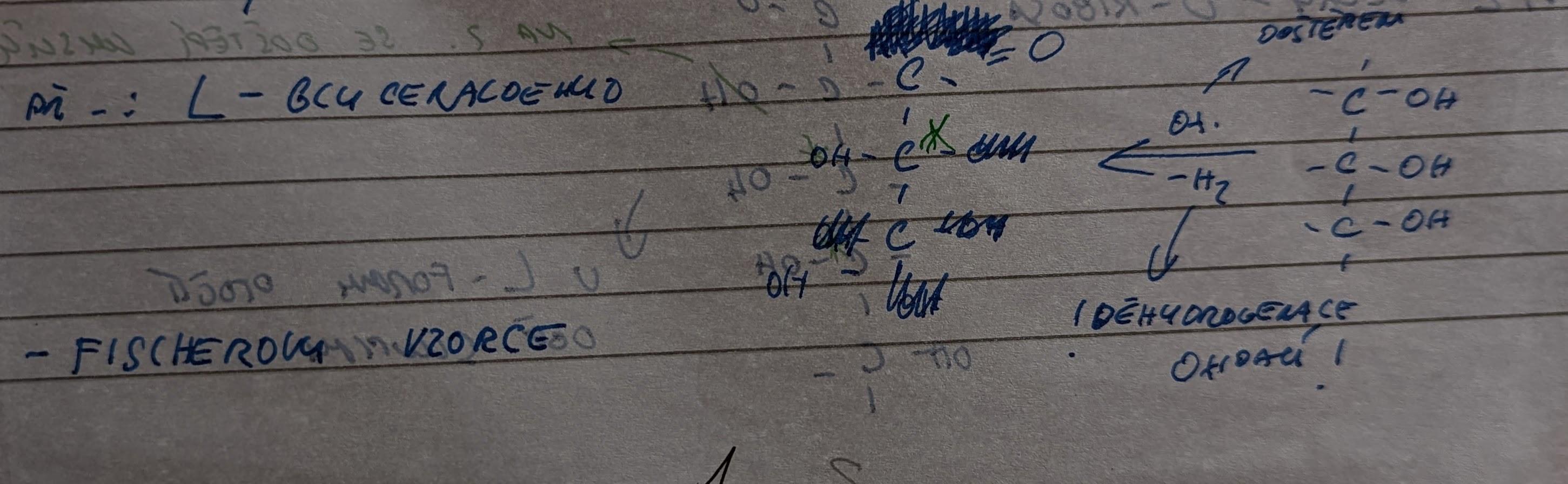 PXL 20221001 103243427