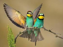 465ac1c8-b63d-4c29-9631-4f67ac9a2e3f