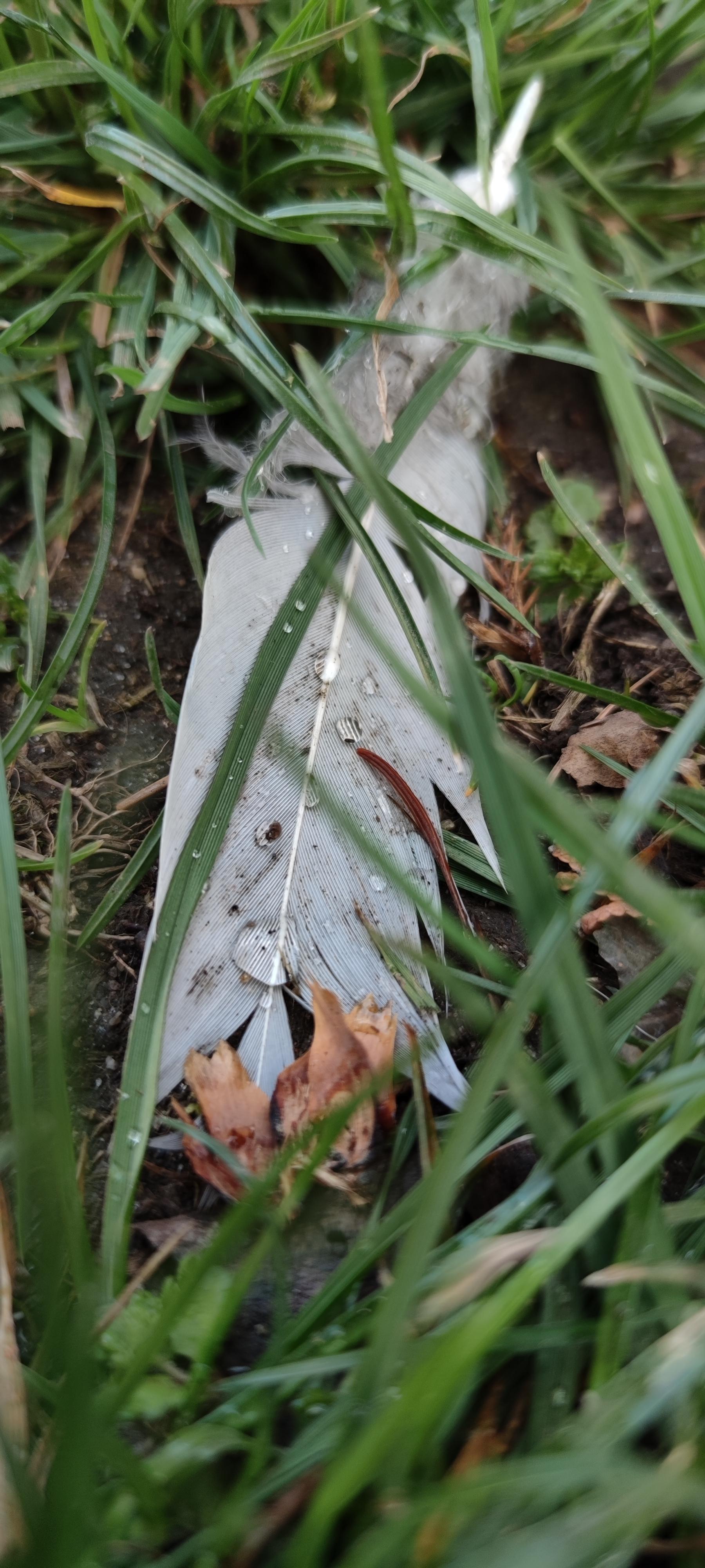 16178113227554910135124542752111