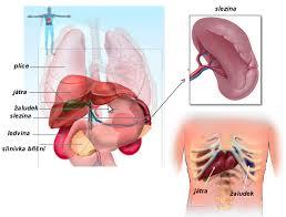 47644b2f-cd5f-432f-88ee-dab529cc604d