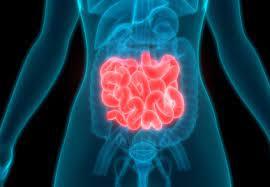 476895e6-ca17-4d6c-a3ad-41bad0abba4f