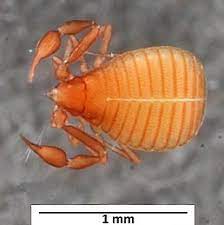 47805088-993a-400d-be52-23734fc6966f