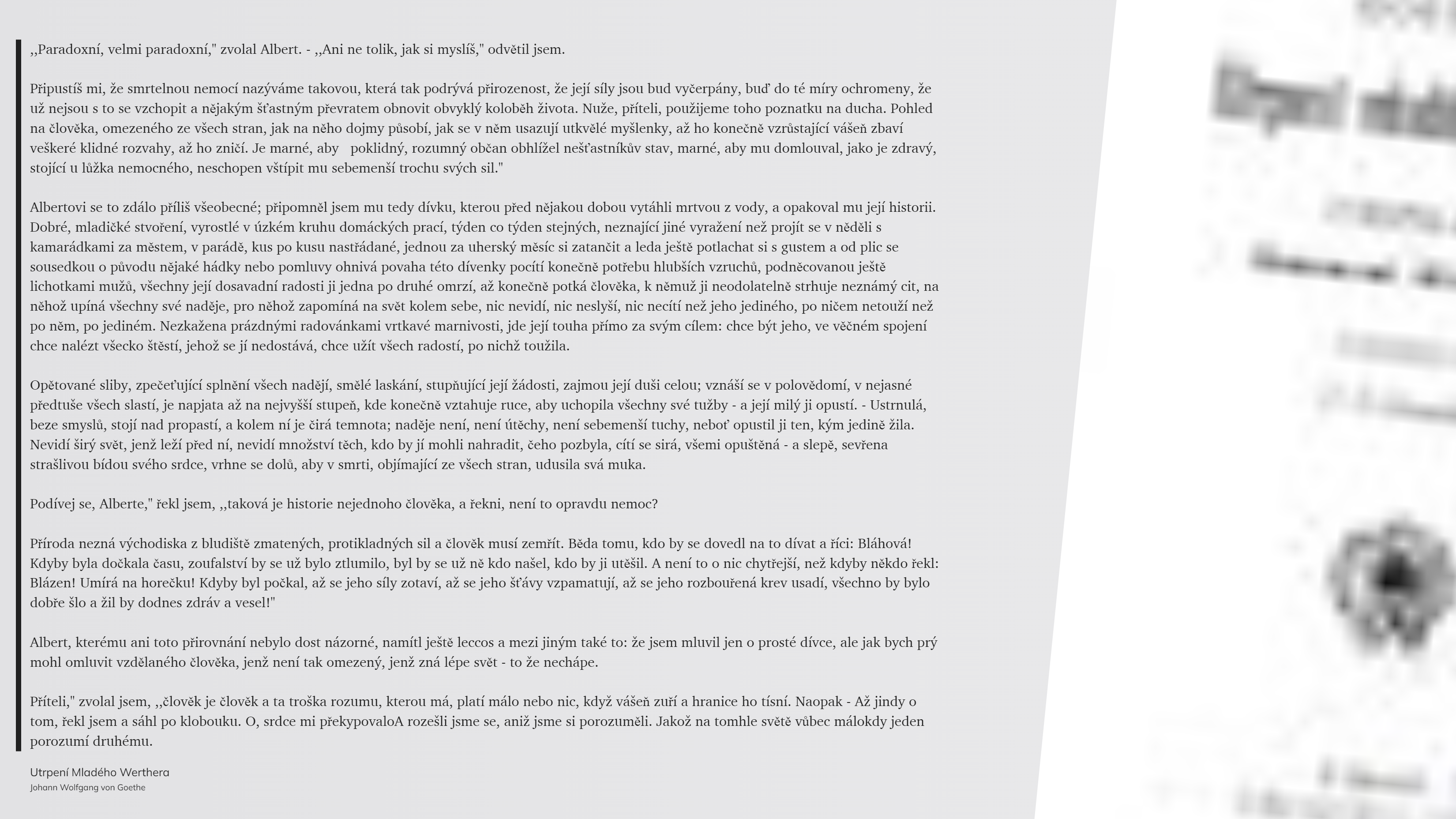 Utrpení Mladého Werthera (25)