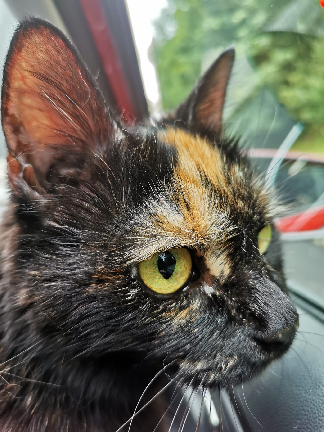 fba45133-5f54-4f18-984c-f73a49381ed0