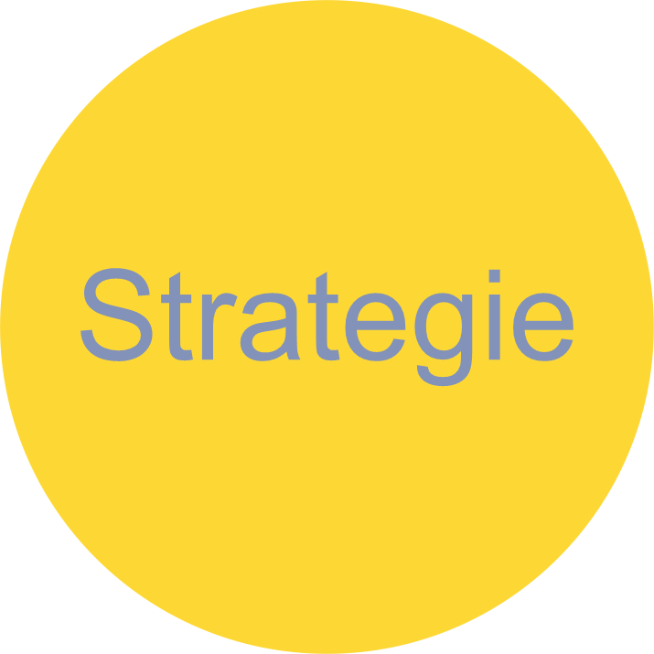 NPI ORGPAD jednodny model kraje strategie 2