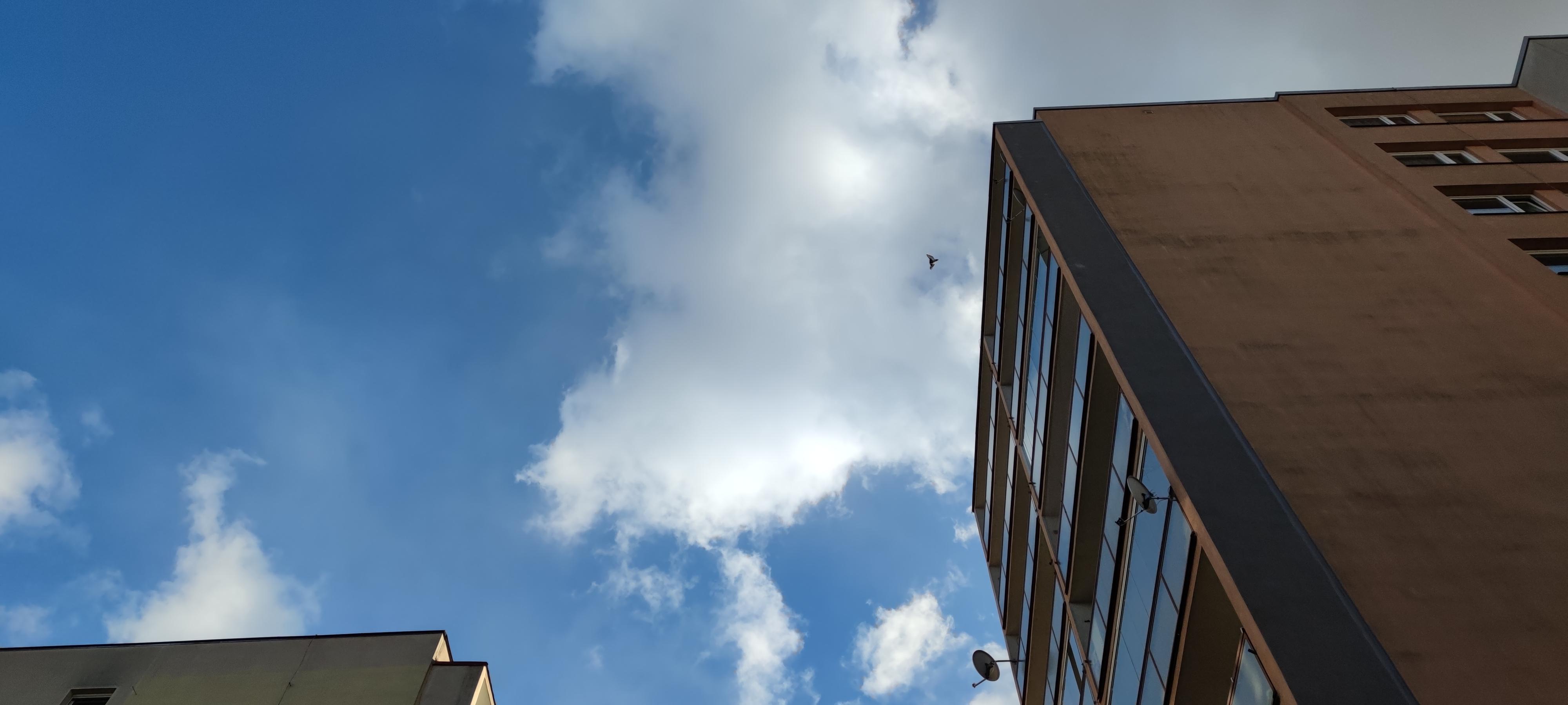 16178102556665493508070449152797