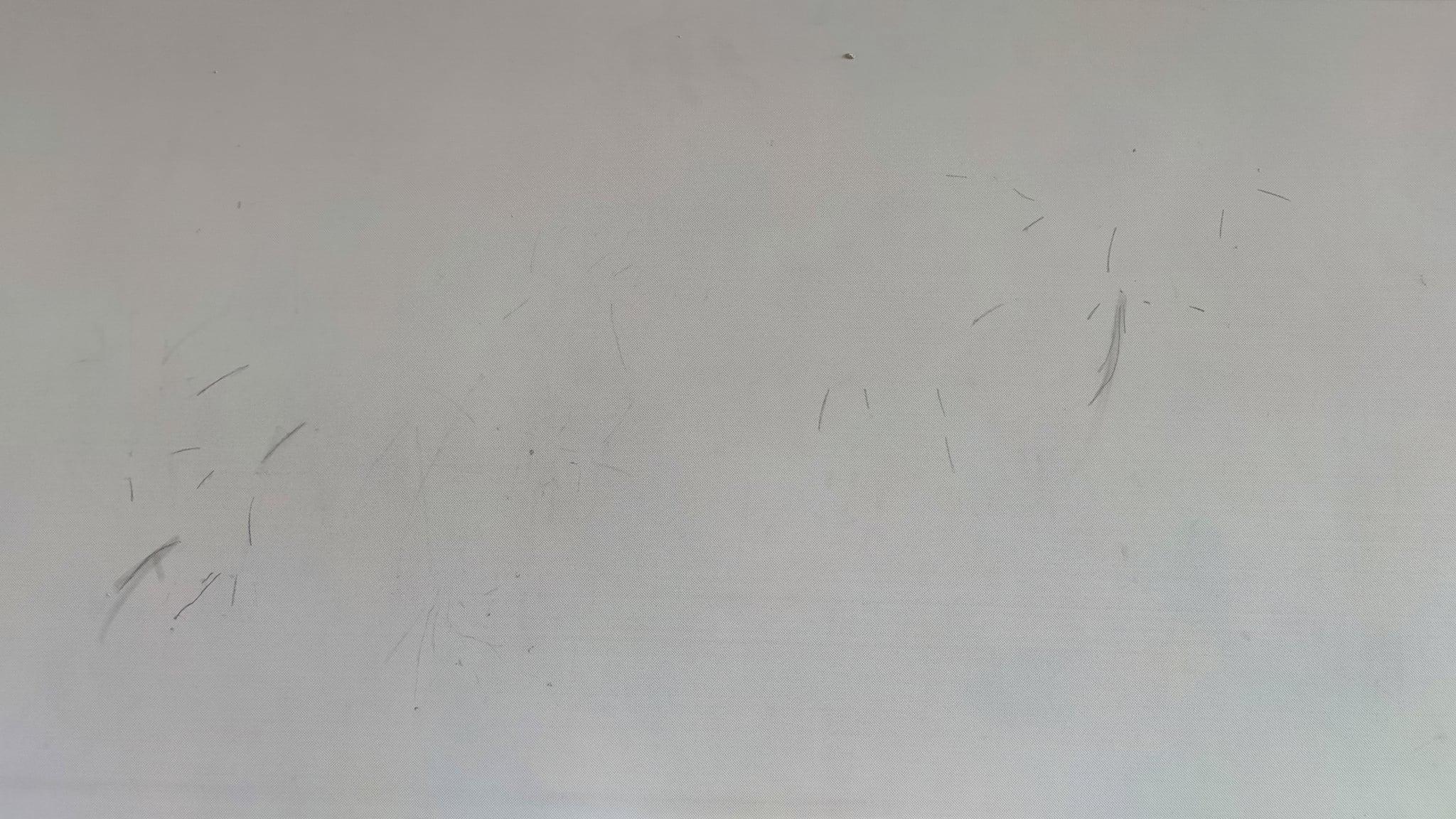 206504671 817905732252301 8532809302540323413 n