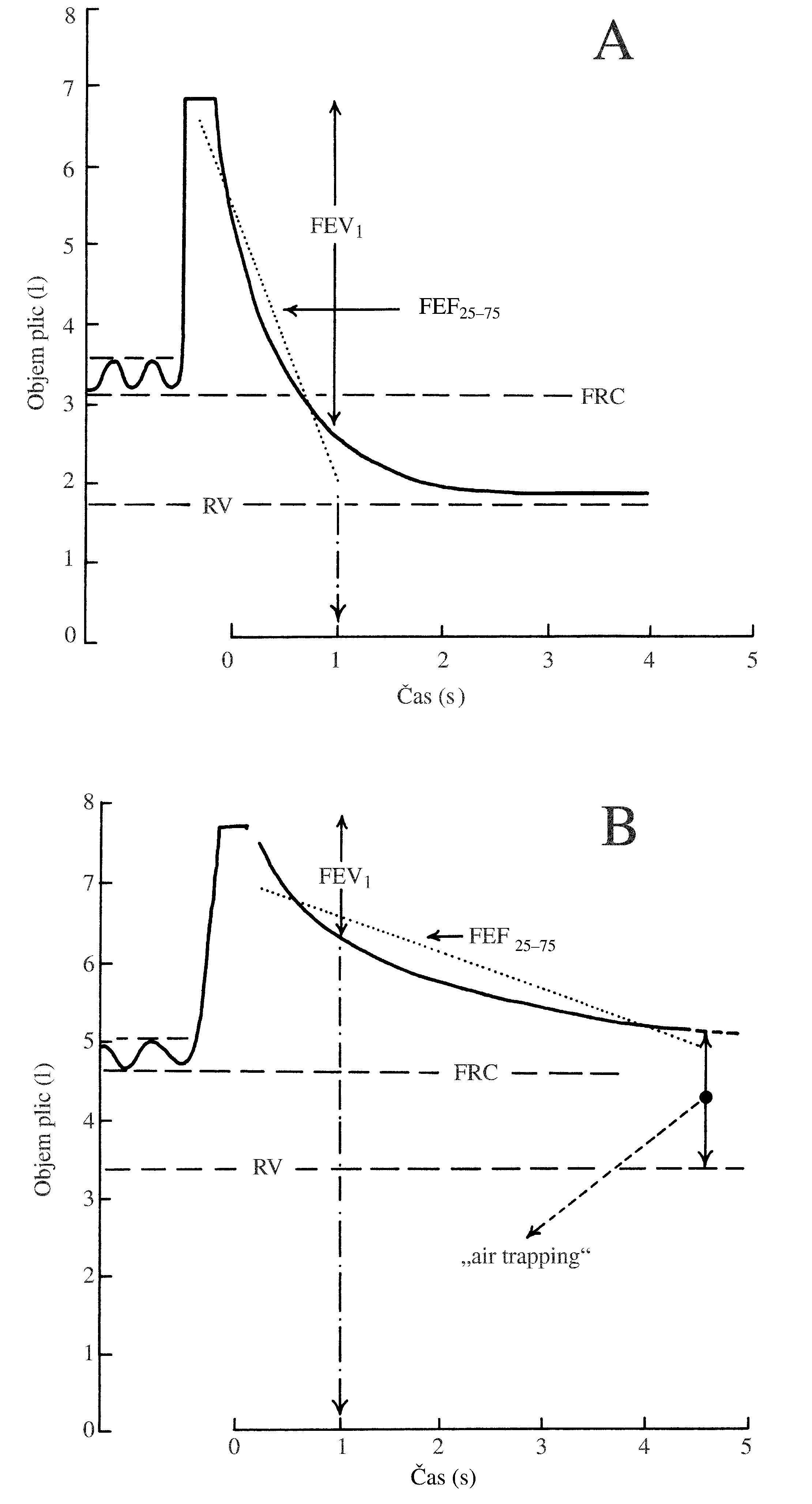 2021 Patologicka fyzio 1 Page 327 Image 0001