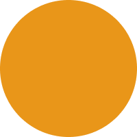 orange-circle-basic