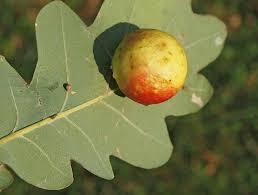 4e8eda8c-4cf7-464a-90a4-cd50a8ab6037