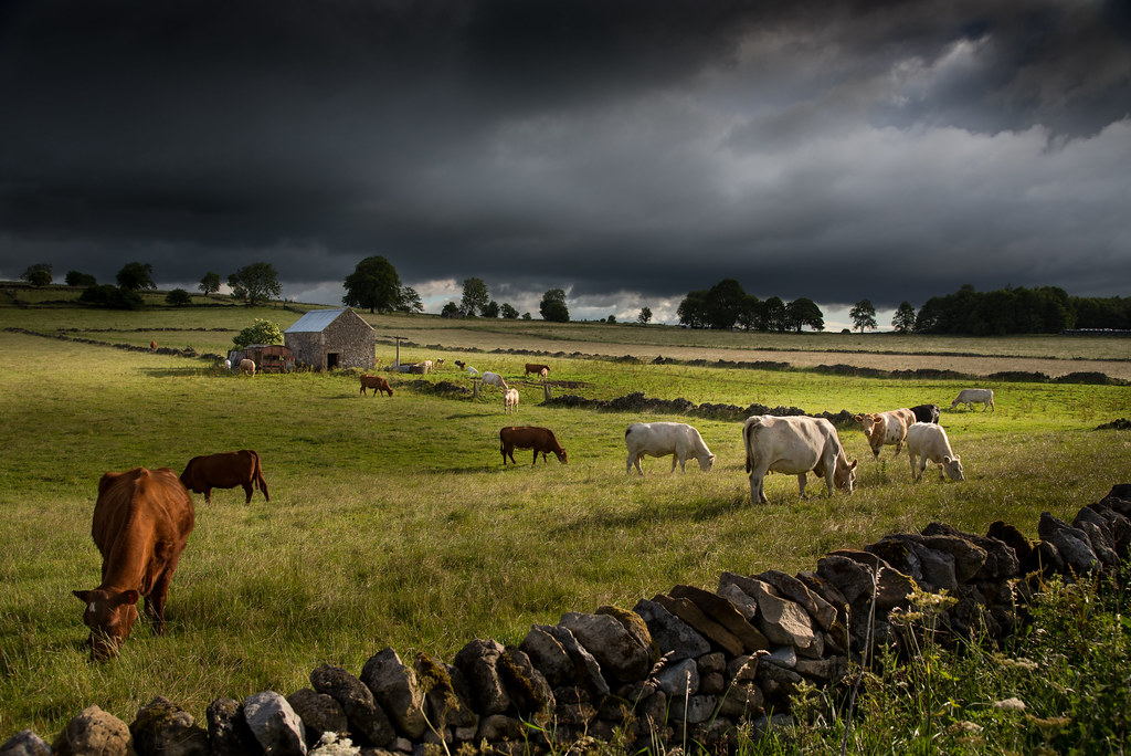 50080269847 aa3c5f4a85 b