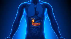 50886f12-b923-47ea-b893-9488ab28b0ad