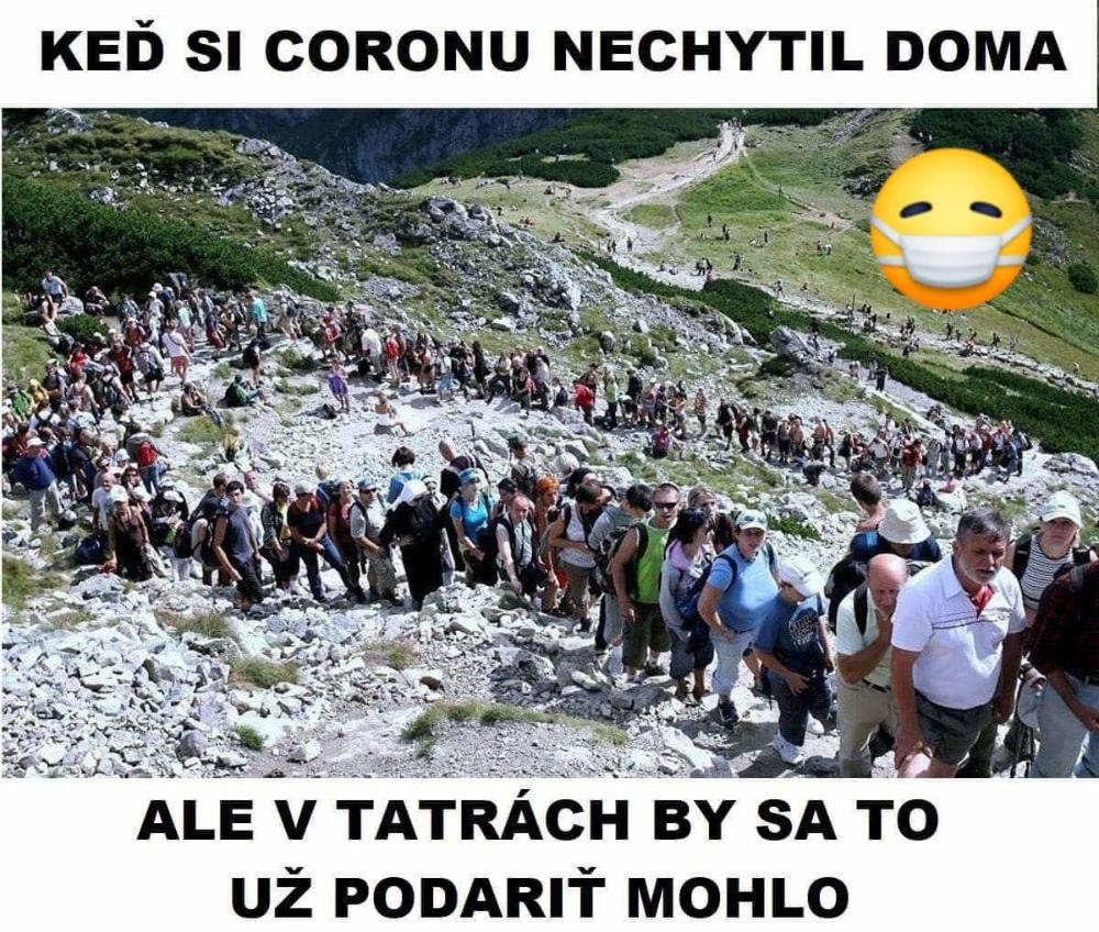 118005736 607546359957219 3404782409891326505 o