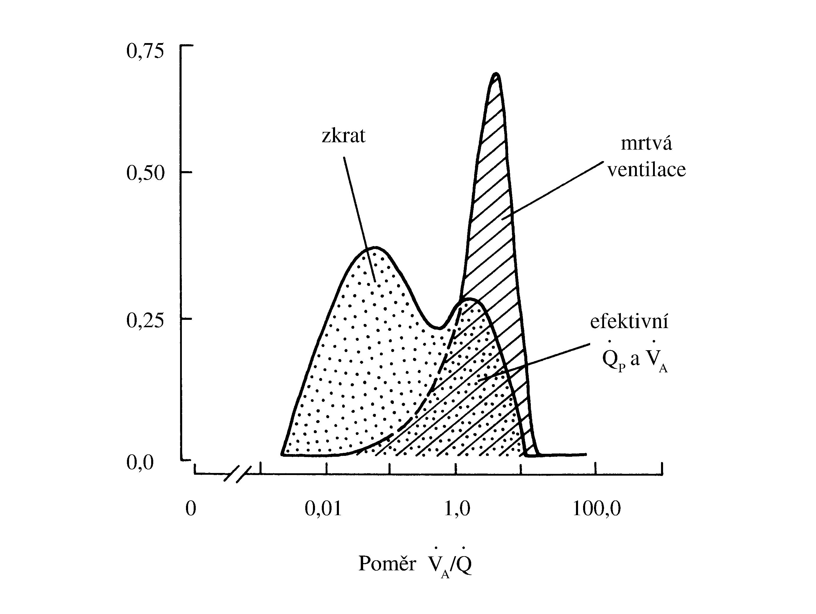 2021 Patologicka fyzio 1 Page 365 Image 0001 (1)