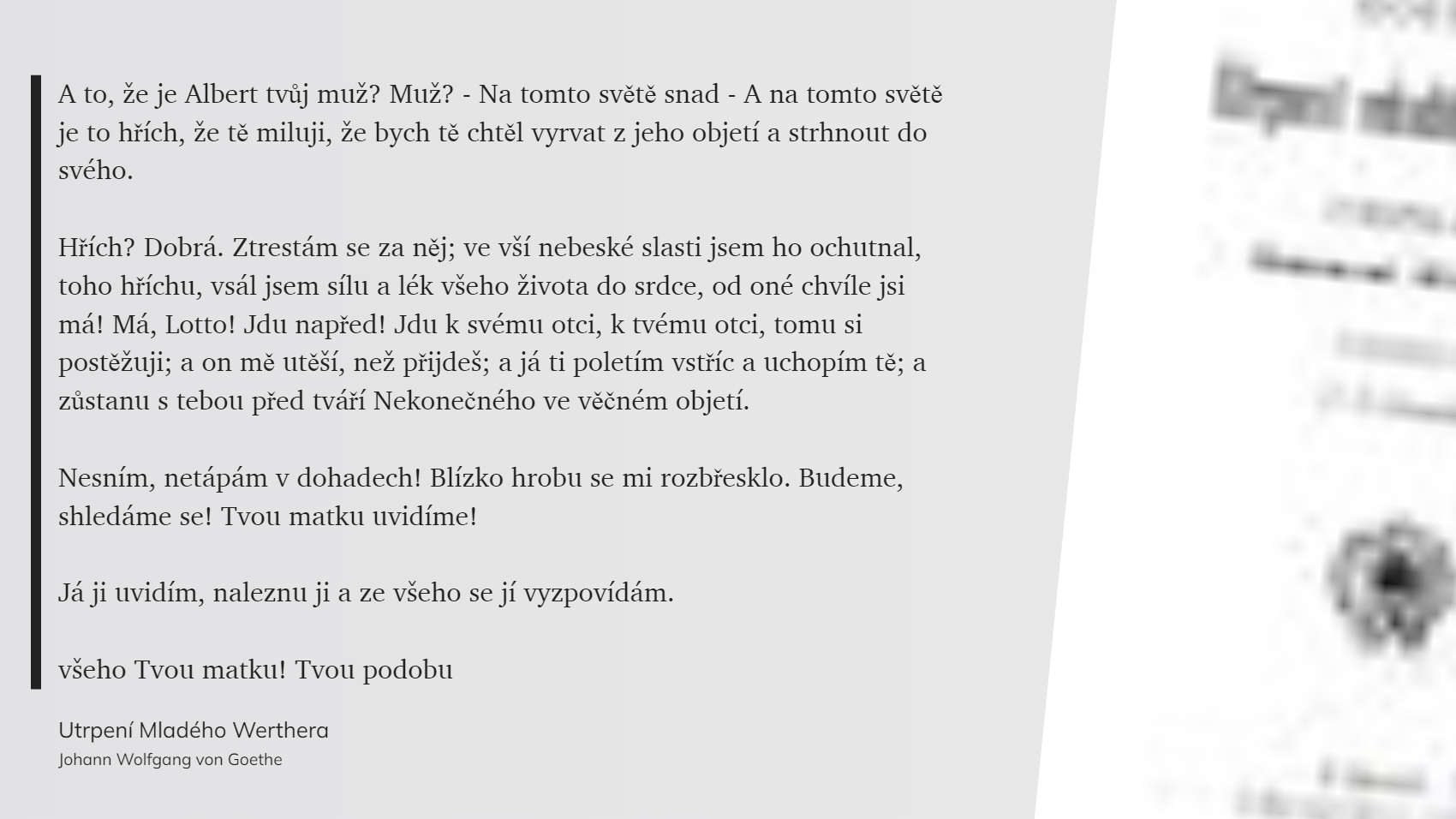 Utrpení Mladého Werthera (53)