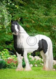 519b3ee6-8bcc-43cc-96ad-5fe930e07e61