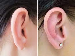 519f893e-7449-43d0-ad7c-241b6d7fe489