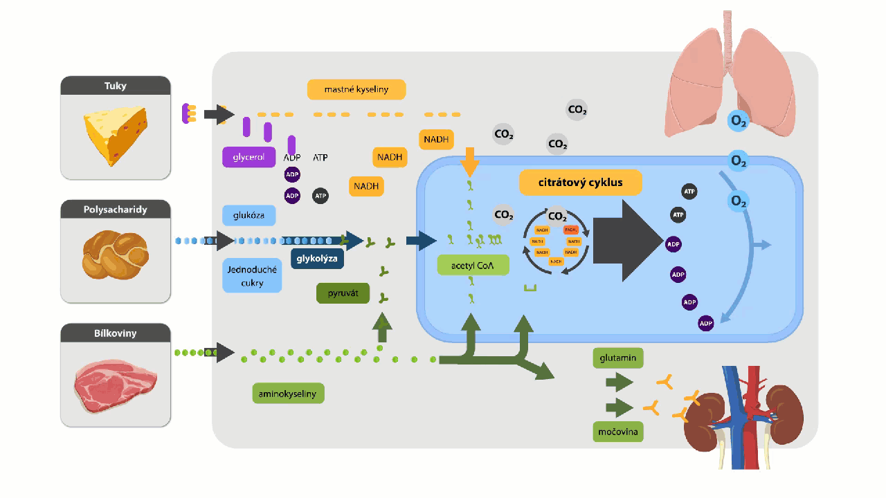 9ABE8E0B-476E-4101-8D9F-41F7941BD093