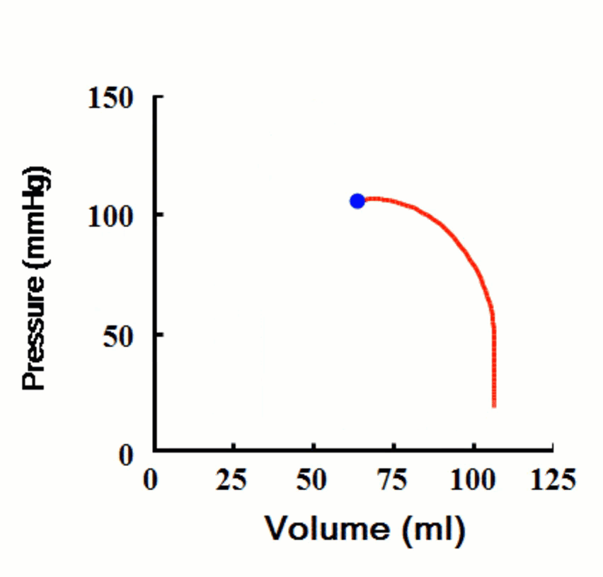 09B0883D-1A04-482F-A4F7-422F9DB2C64E